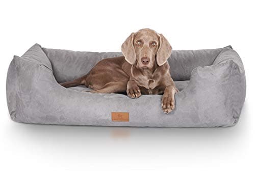 Panier Knuffelwuff Dreamline XXL 120x85 cm Velours Gris