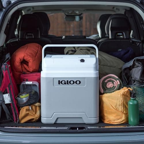 Glacière Électrique Igloo IE27 27 L 12/230 V