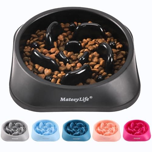 Gamelle Anti-Glouton MateeyLife 20 cm Chien Moyen