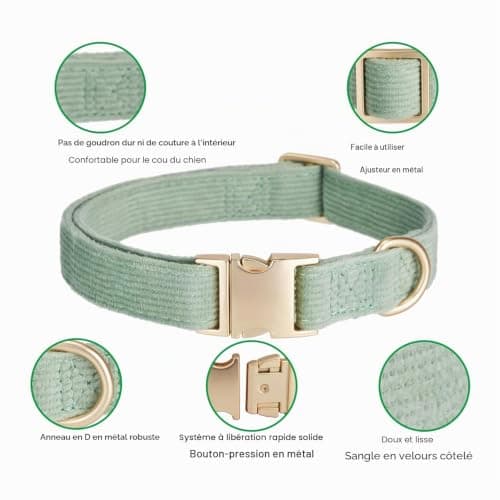 Collier YUDOTE DCLCDY-SG-L velours côtelé peau sensible