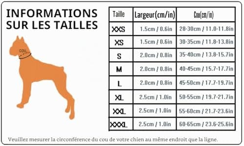 Collier TRUE LOVE TLC5011 rembourré à sangle 2 cm