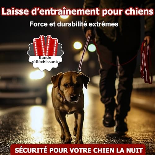 Longe réfléchissante SuplutuX FG001 15 m pour rappel
