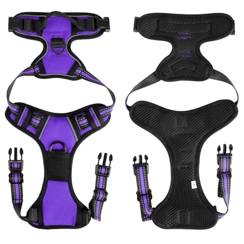 Harnais Anti-Traction SIBOTER avec Laisse - Taille M