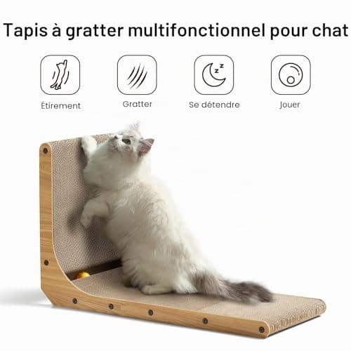 Griffoir chat en L FUKUMARU carton 68 cm