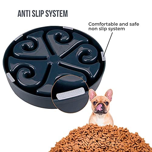 Gamelle Anti-Glouton Edipets Labyrinthe Chien et Chat