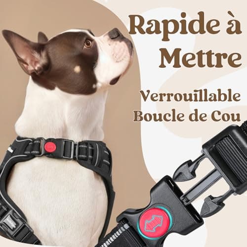 Harnais rabbitgoo 3 Boucles Anti-Traction - Taille L