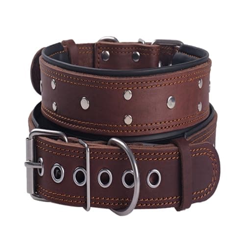 Collier cuir clouté SweetyMooMoo WYGB-TKZ large 5 cm