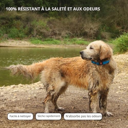 Collier imperméable CollarDirect COLWATER XL nylon PVC