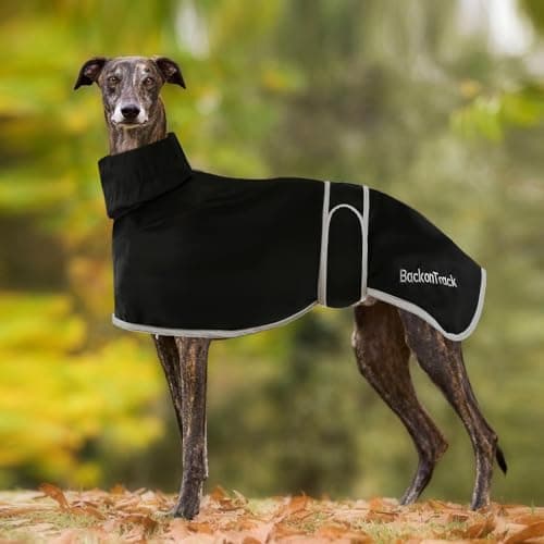 Manteau de pluie léger HBJSP pour lévrier et whippet