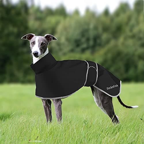 Manteau de pluie léger HBJSP pour lévrier et whippet