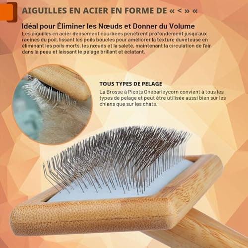 Brosse carde onebarleycorn manche bois chien et chat