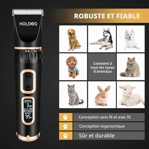 Tondeuse chien HOLDOG B8 sans fil 3 vitesses