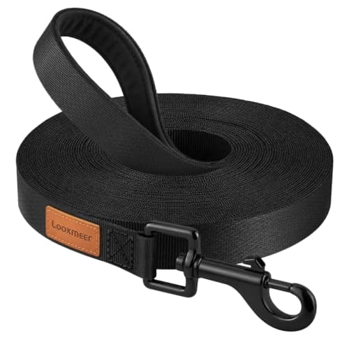 Longe nylon Looxmeer D1823 10 m pour le travail du rappel