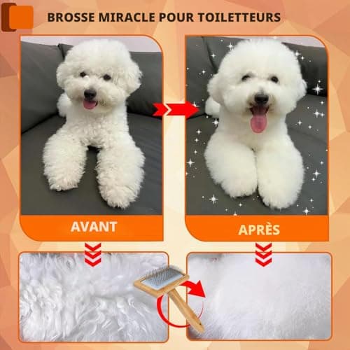 Brosse carde onebarleycorn manche bois chien et chat