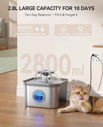 Fontaine à Eau Chat FEELNEEDY Inox 2,8 L