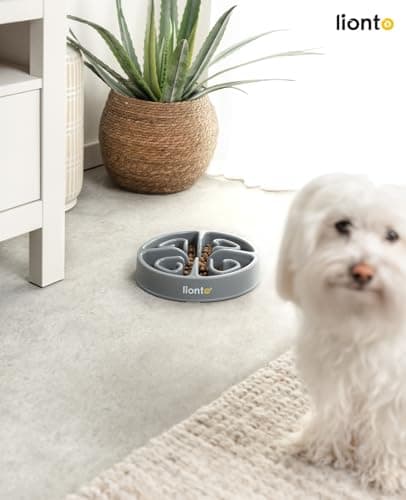 Gamelle anti-glouton lionto Ø 20 cm pour petits chiens
