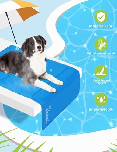 Tapis Rafraîchissant Pecute Gel L 90x50 cm Bleu