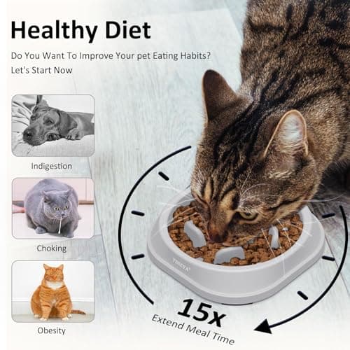 Gamelle Anti Glouton YINEYA Chat et Petit Chien x2
