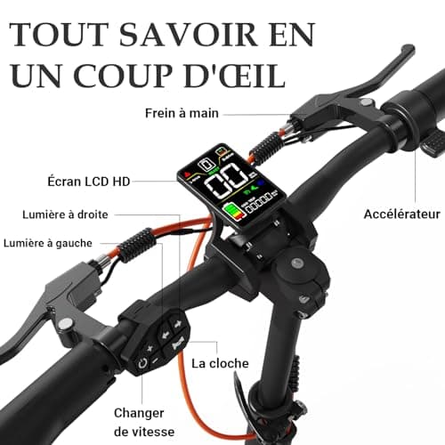 Joyor S5 Trottinette Electrique Adulte 600W