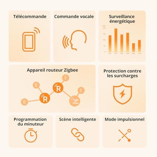 SONOFF S60 Zigbee Smart Plug