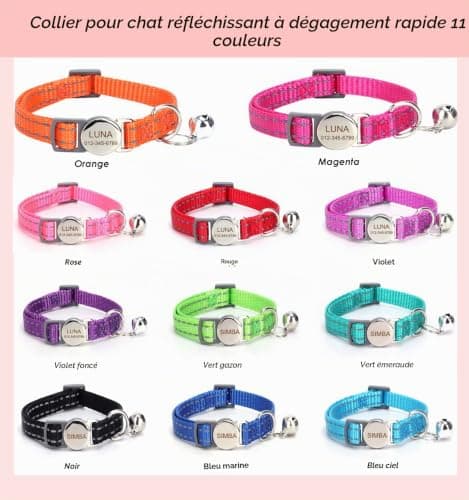Collier chat MEWOGOL gravé, boucle à ouverture sous charge