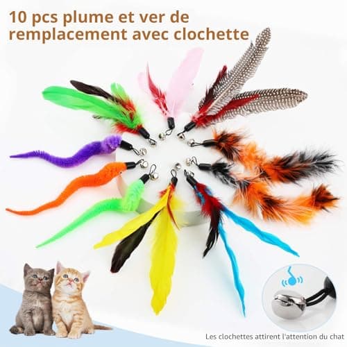 Canne à plumes Hianjoo 33CFT-12BU, 12 pièces