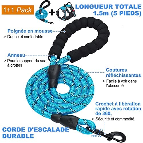 Harnais Anti-Traction haapaw avec Laisse Incluse