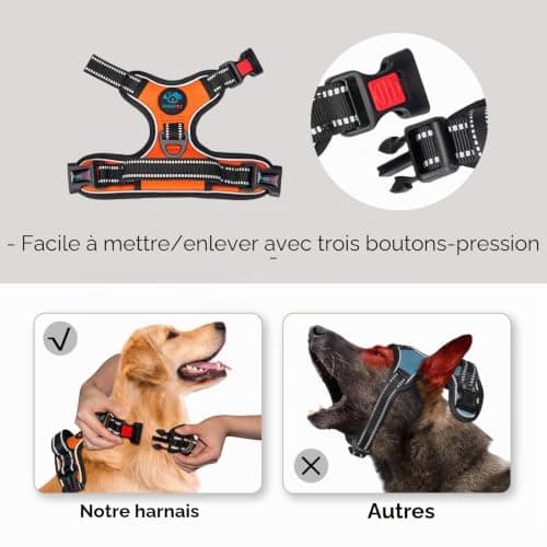 Harnais Anti-Traction PHOEPET 3 Boucles - Taille M