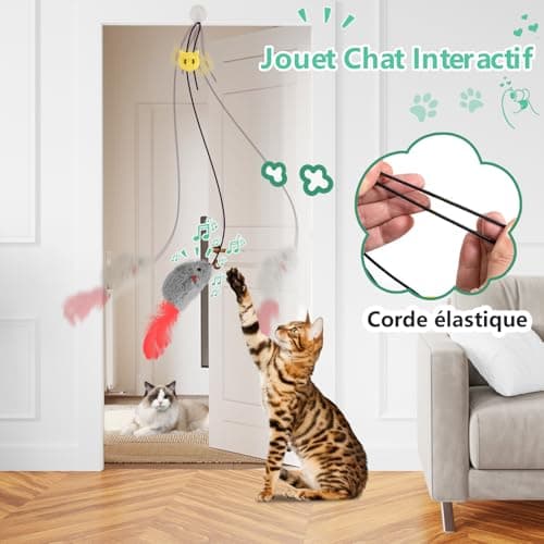 Souris suspendue FYNIGO FY-05 sans pile pour porte