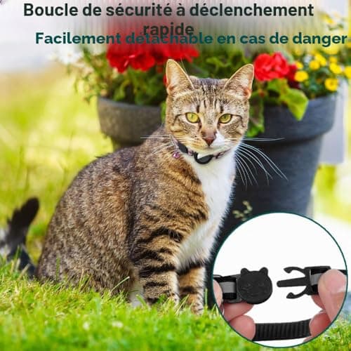 Collier chat Dgerp collar-01 étui AirTag et boucle sûre