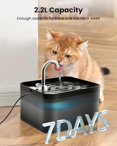 Fontaine à Eau Chat PawPoll 2,2 L avec Robinet