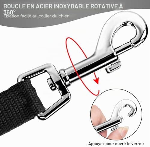 Longe RUNEAY LQQ-176-5 20 m pour petit et moyen chien