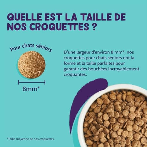 Croquettes Chat Senior Edgard Cooper Dinde et Poulet 2 kg