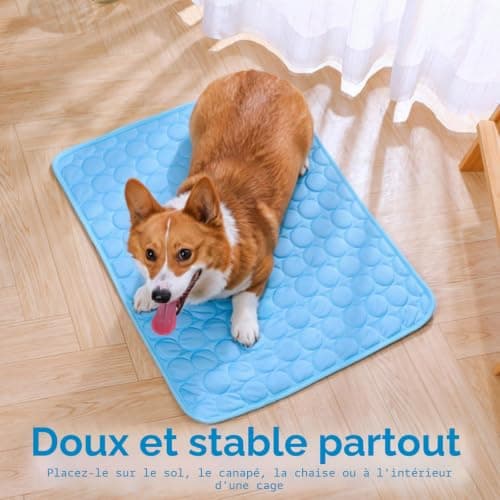 Tapis rafraîchissant Bafiwu chat et petit chien 70x55