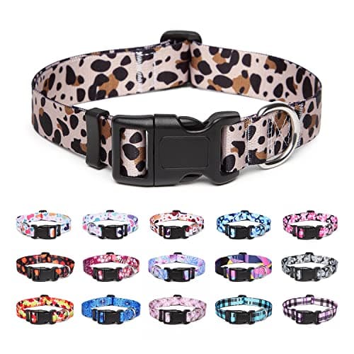 Collier nylon Suredoo léopard S, chien en laisse détendue