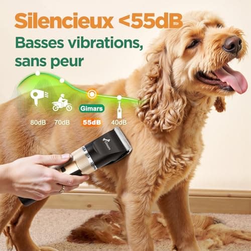 Tondeuse chien Gimars 3 en 1 sans fil 4 vitesses