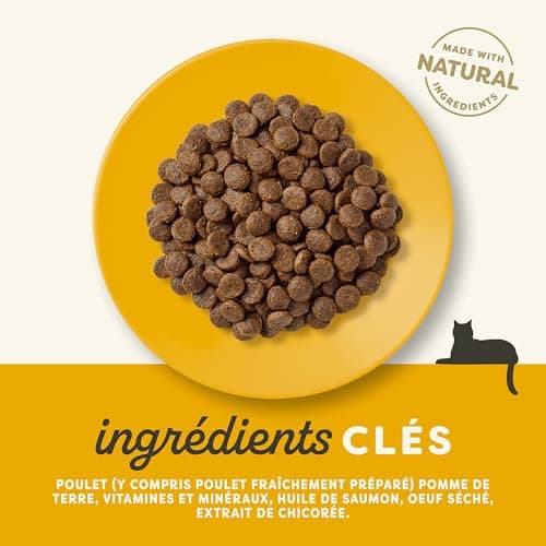 Croquettes Applaws Senior Chat Poulet Sans Céréales 2 kg