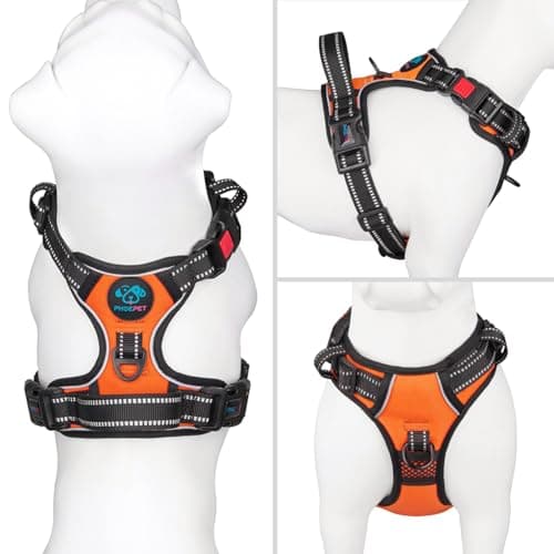 Harnais Anti-Traction PHOEPET 3 Boucles - Taille M