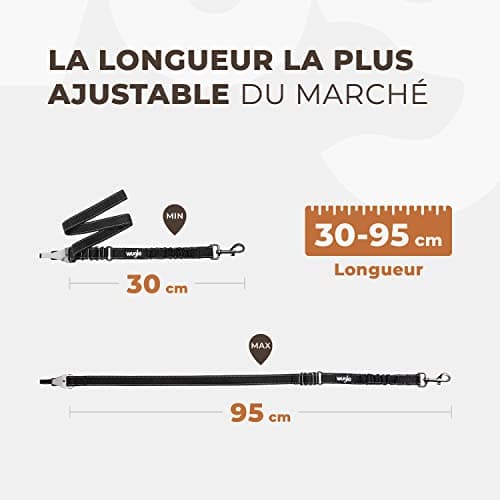 Ceinture voiture chien Wuglo 3 fixations 30-95 cm
