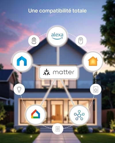 Tapo P110M 2-pack Prise Connectée 16A