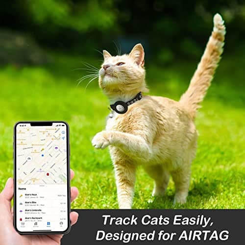 Collier chat LAFAYI lot de 2 avec étui pour traceur