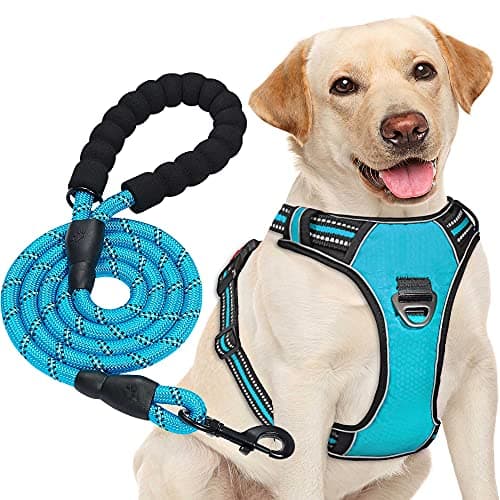 Harnais Anti-Traction haapaw avec Laisse Incluse