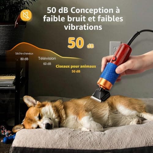 Tondeuse Chien CGOLDENWALL 200 W Filaire Câble 3 m