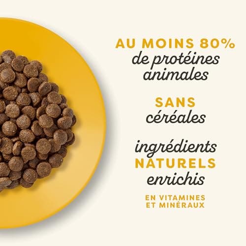 Croquettes Applaws Senior Chat Poulet Sans Céréales 2 kg
