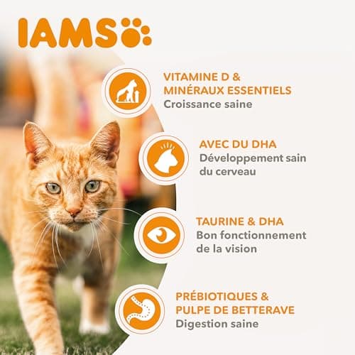 IAMS Advanced Nutrition Croquettes Chaton Poulet Frais 3 kg