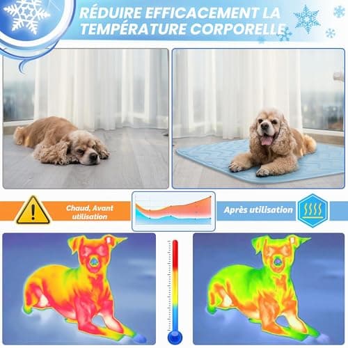 Tapis rafraîchissant BaoDan 70x100 cm sans gel
