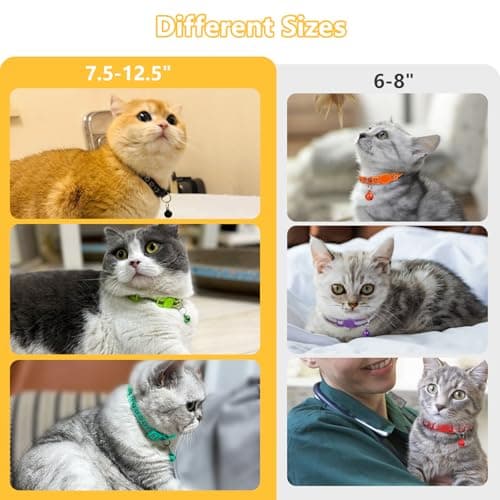Collier chat Taglory T-CCO71, lot de 2, boucle qui cède