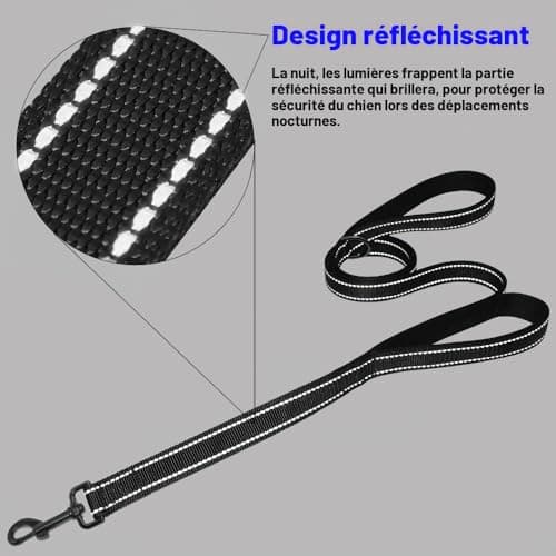Laisse HRYSPN MW-887661265 double poignée 1,5 m