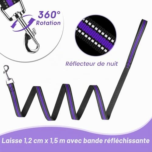 Harnais Anti-Traction SIBOTER avec Laisse - Taille M