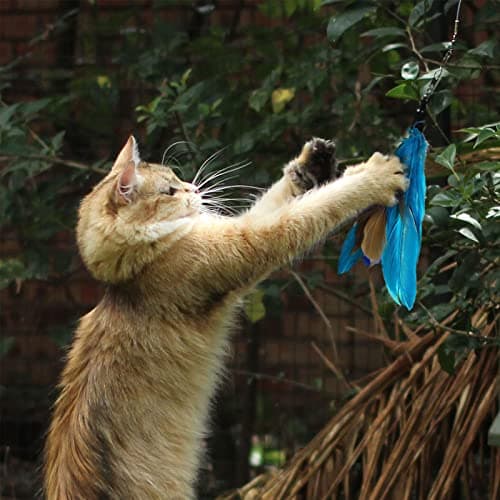 Canne à pêche chat onebarleycorn OB-CT-002, 8 embouts